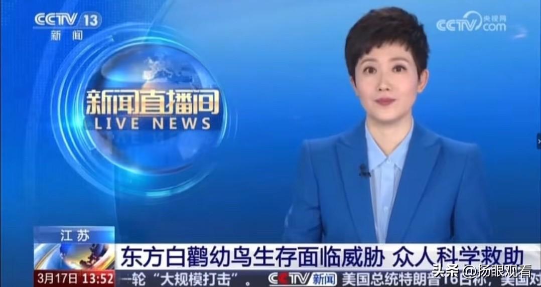 央视点名表扬！扬州高邮高空救下国宝东方白鹳幼鸟✨
 
真的看哭了！又被扬州人的温