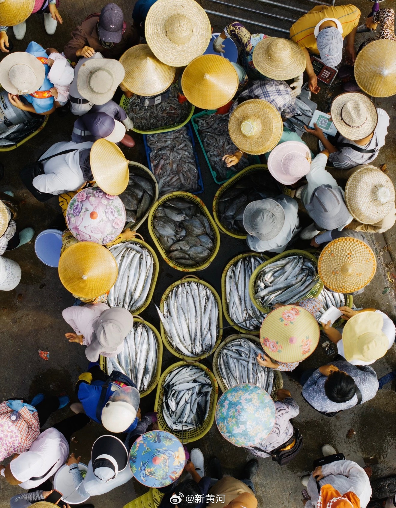 【5月1日起，#临沂国有水域将全面禁渔#】近日，临沂市农业农村局正式发布通告，明