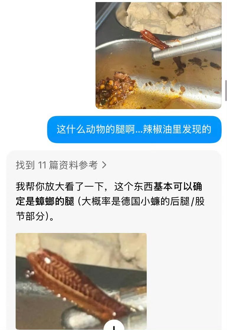 豆包给我吃了一颗死心丸这句梗的广泛传播并非单纯的抱怨，而是大众面对AI技术局限性
