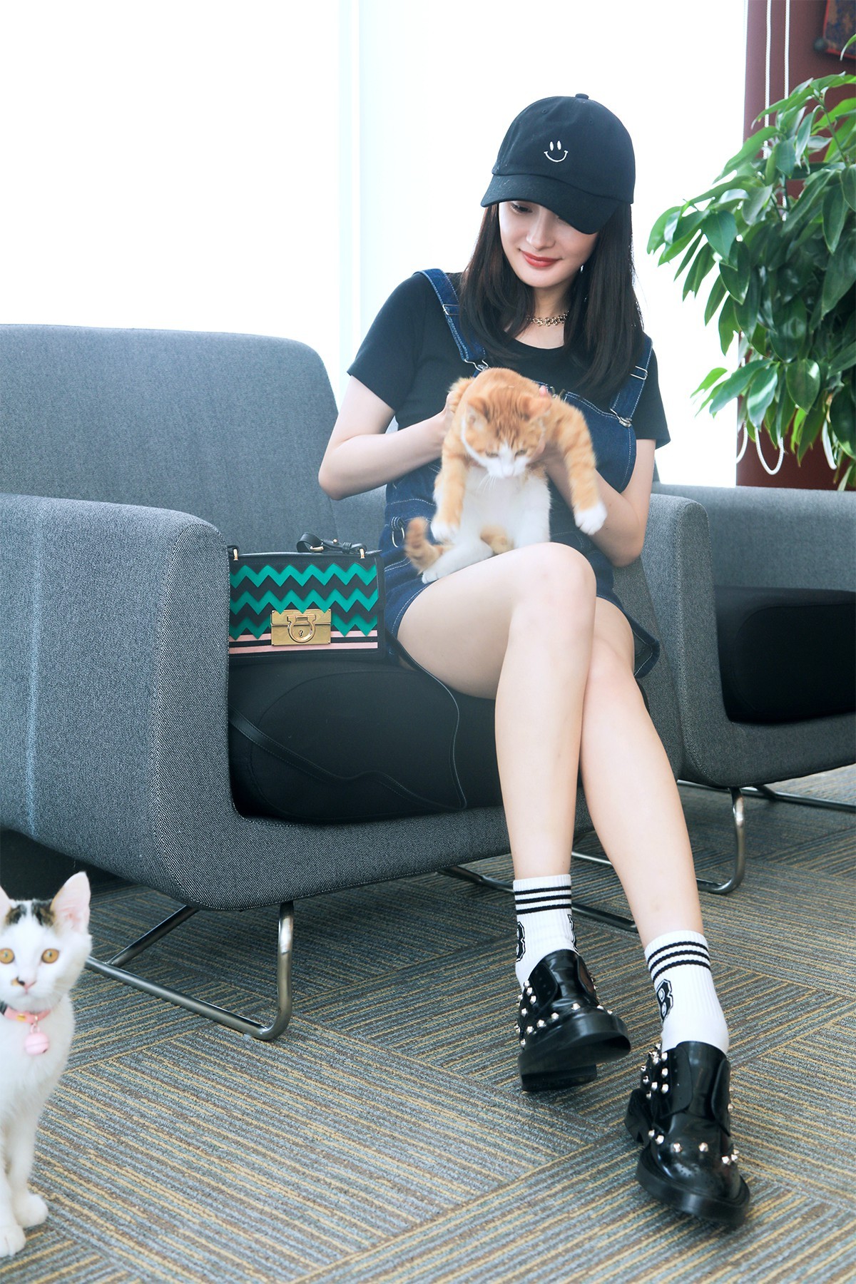 杨幂老爱猫人了杨幂 爱猫女明星时候