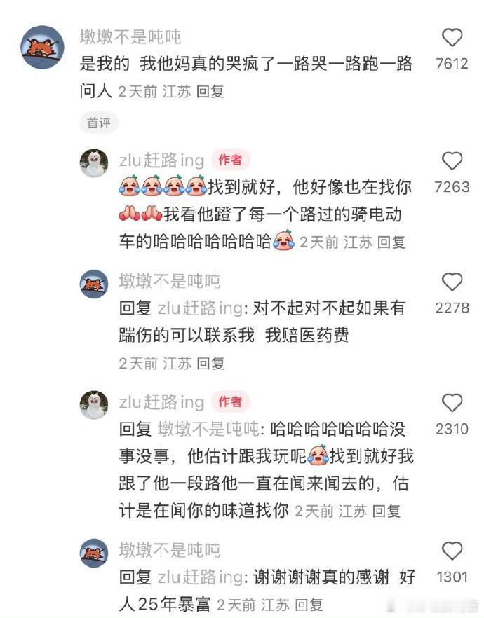 对边牧的聪明又有了新认知 