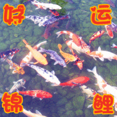 继续继续，关注点赞抽红包🧧🧧🧧🧧高考加油！！！！高考加油红包高考时间高考