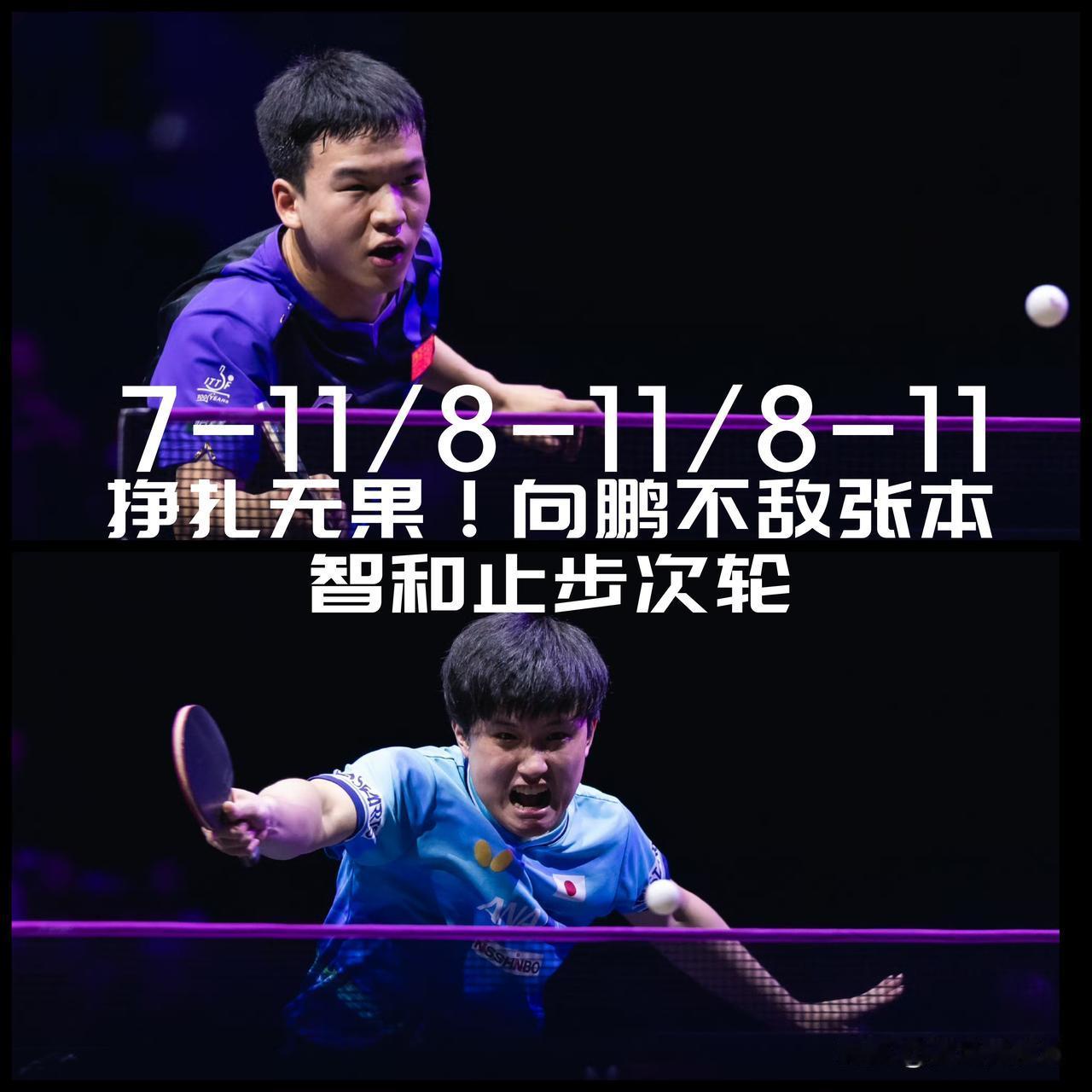 【挣扎无果！向鹏次轮0-3不敌张本智和！】

WTT横滨冠军赛男单1/8决赛，向