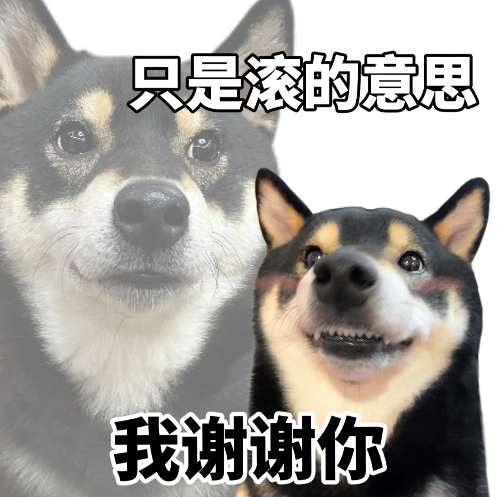 语言通货膨胀之后…🥲
