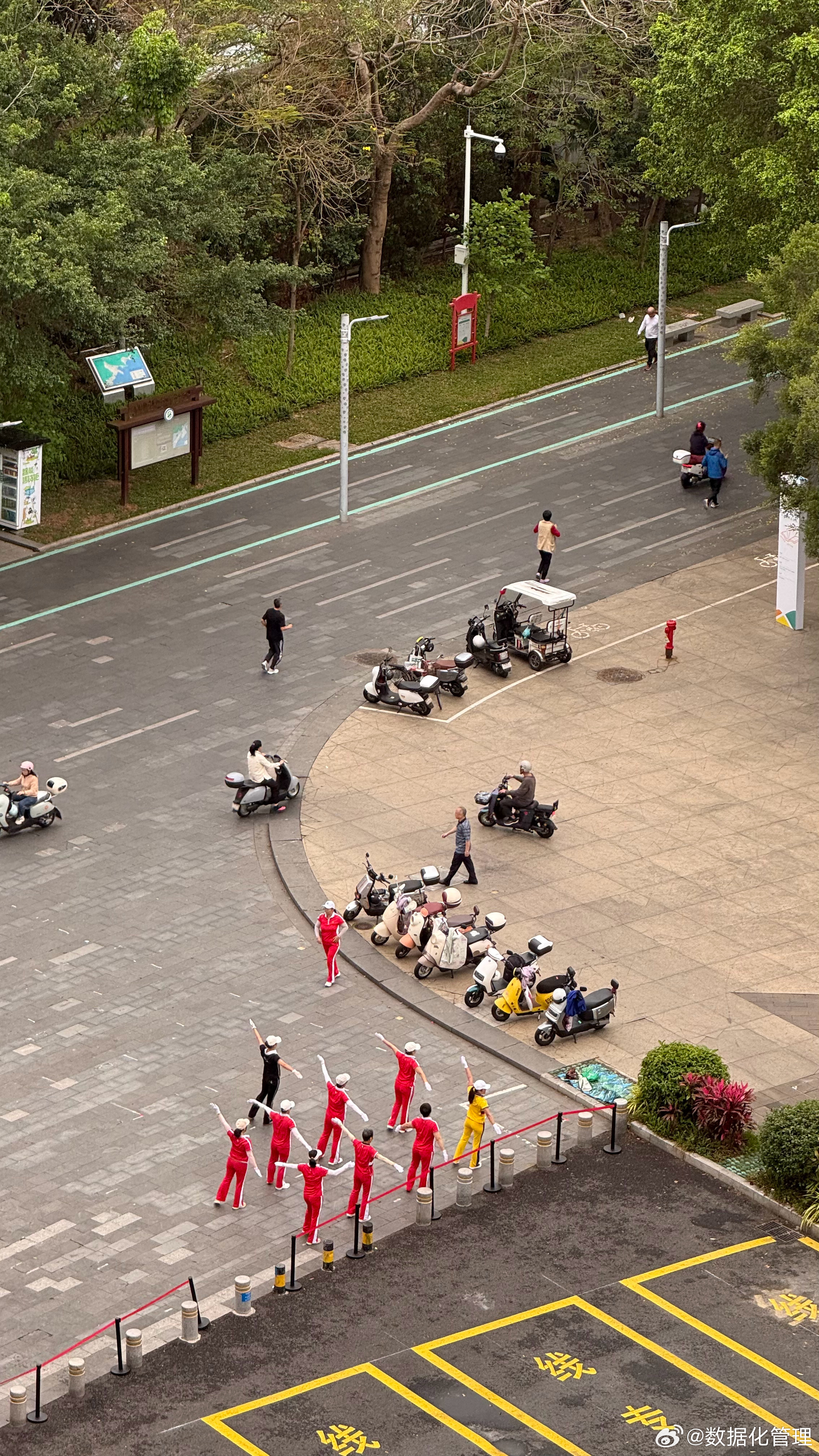 盐田港的清晨，鸟语花香…… 