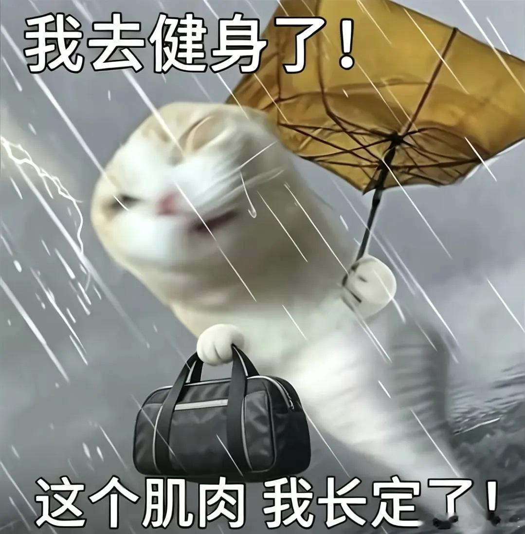 出门！ 