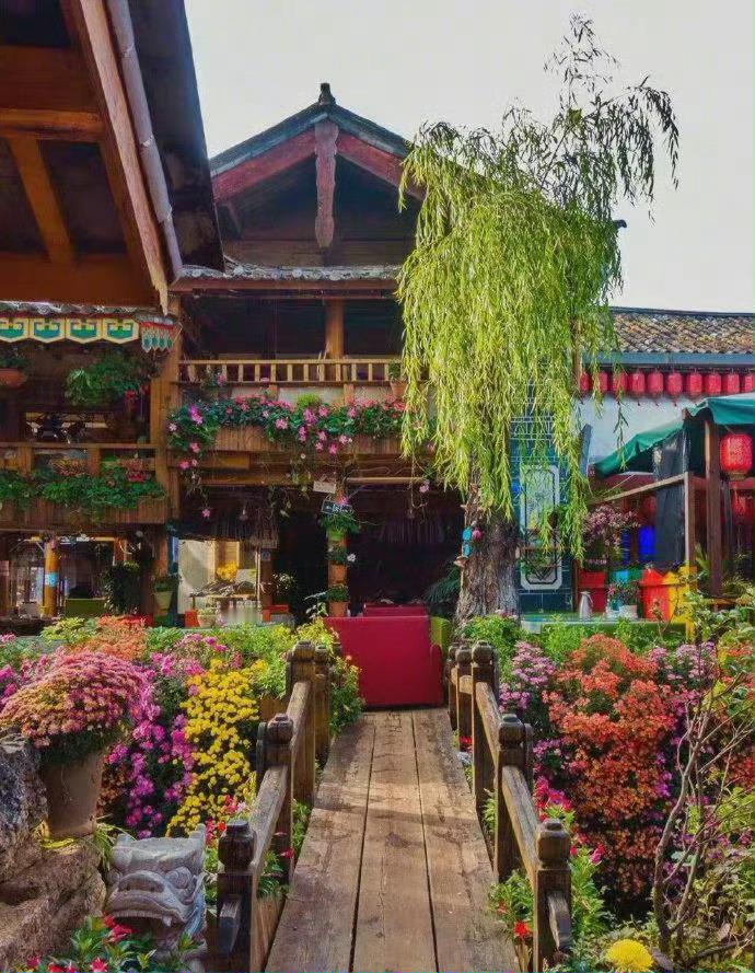 丽江古城，花香满城，如痴如醉。 ​​​