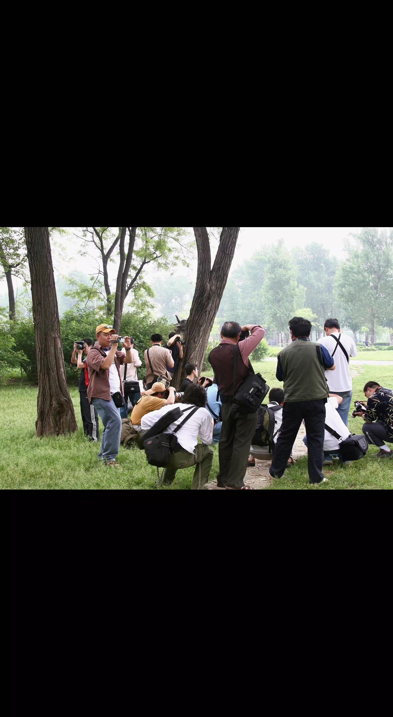 📸镜头咔咔响成森林交响乐🎵，快门声里藏着多少光影心事？定格瞬间，也是定格热爱