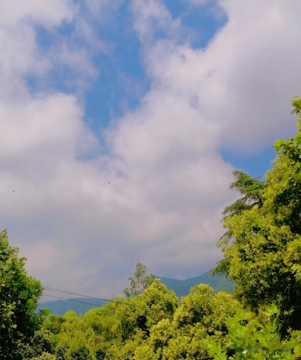 《“陕飞”就在此秦岭南麓的老庄镇，这里距城固县文川河不太远。四十四公里长的文川河