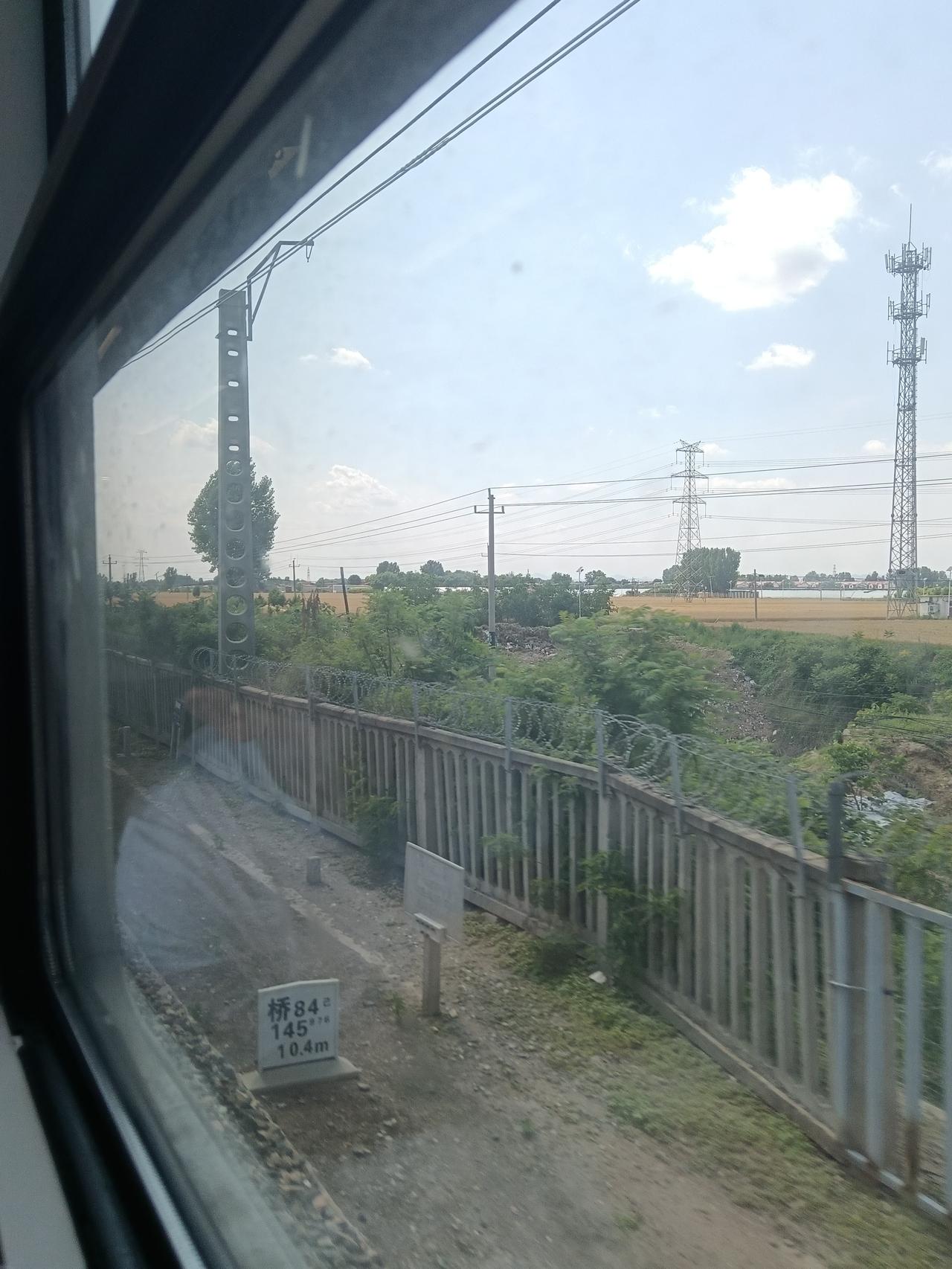 今天坐车去天津，一路看着路边金黄的麦地，心里特别激动，又是一个丰收的季节。可一路
