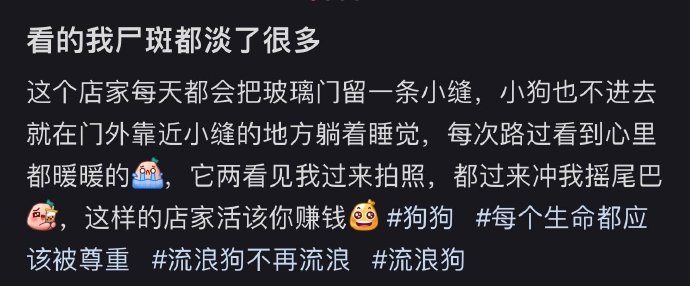 店家每天都会把门留一条小缝，小狗躺在门口蹭空调睡觉也不进去，狗好人好 ​​​