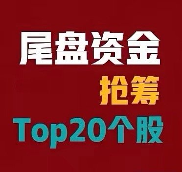 5月27日 A股尾盘30分钟资金抢筹前20名个股名单：1. N长进：涨幅1261