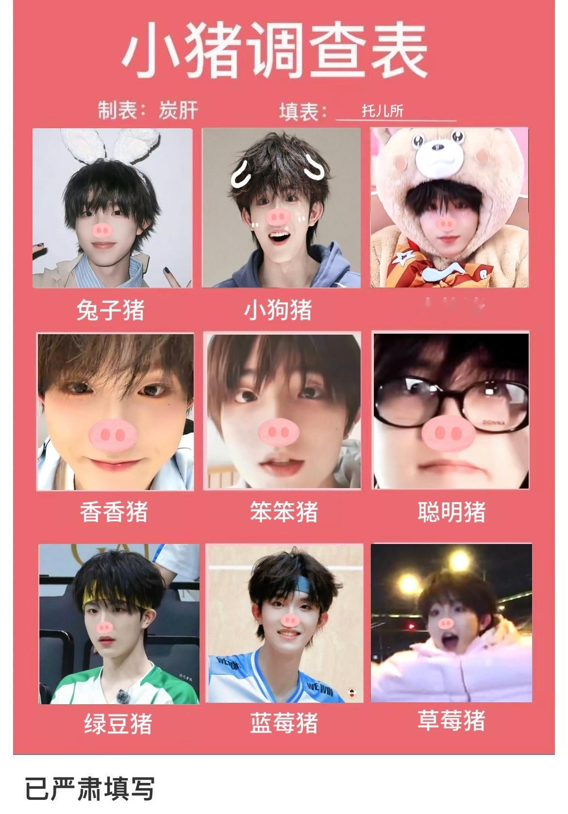 【5145】已严肃填写小猪调查表 