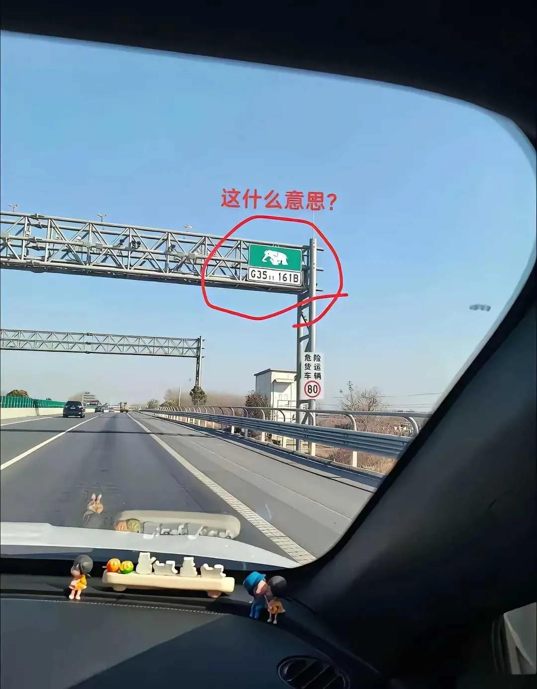 网友：高速上看到的，这是什么标志呢？