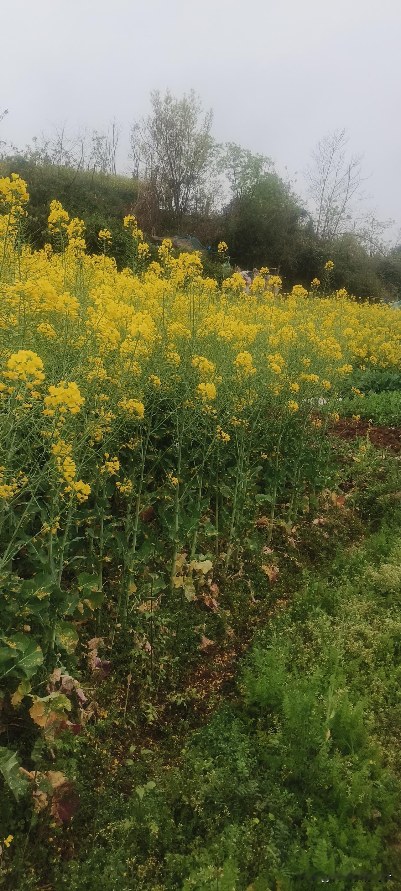 在养老院干活，没有想象中那么容易，尤其伺候老年人饮食起居，需要大量时间精力去陪伴