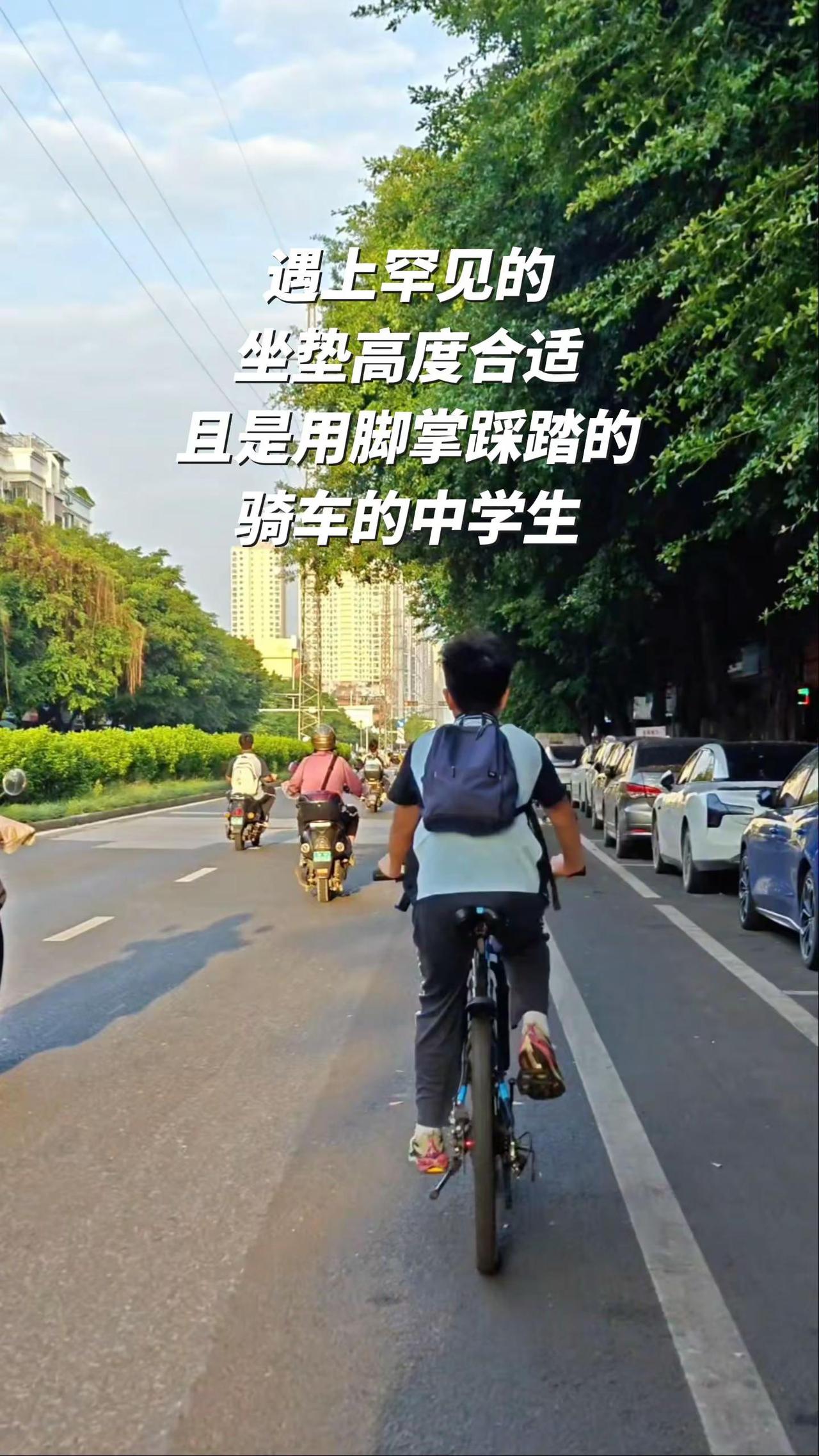 极其少见的坐垫高度合适且是用脚掌踩踏的骑车中学生少年的上学路 骑行vlog 骑行