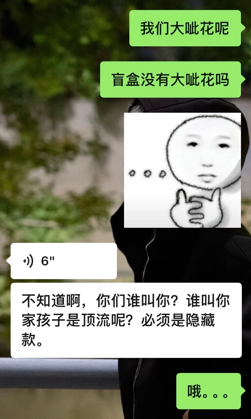 没想到吧 有一天我竟然当上了顶流妈 