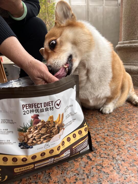 专治火爆“煤气罐”的“干饭秘诀”！🐷小肥基篇