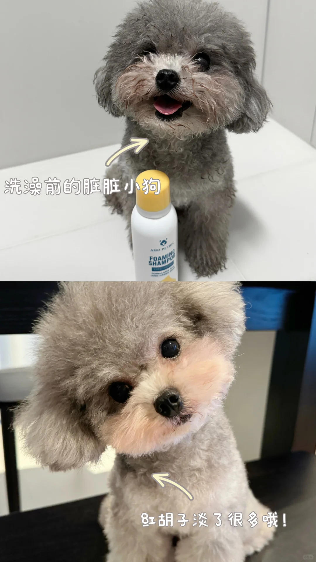 这是什么狗狗沐浴露，也太好玩了吧！