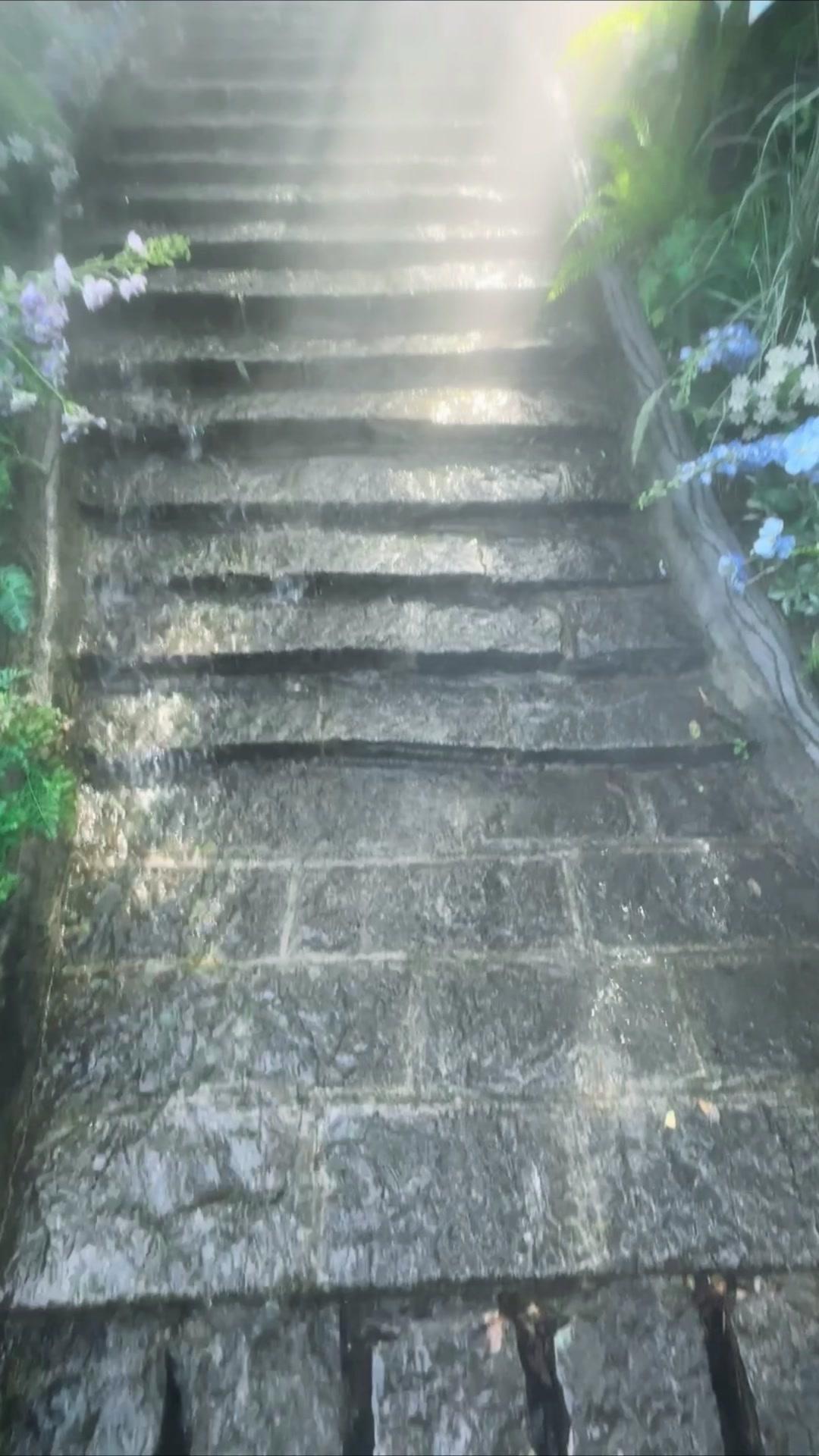 🌿谁懂啊！山东天蒙藏着片自带滤镜的绿野，21度的夏天像闯入童话，全国游客还免票