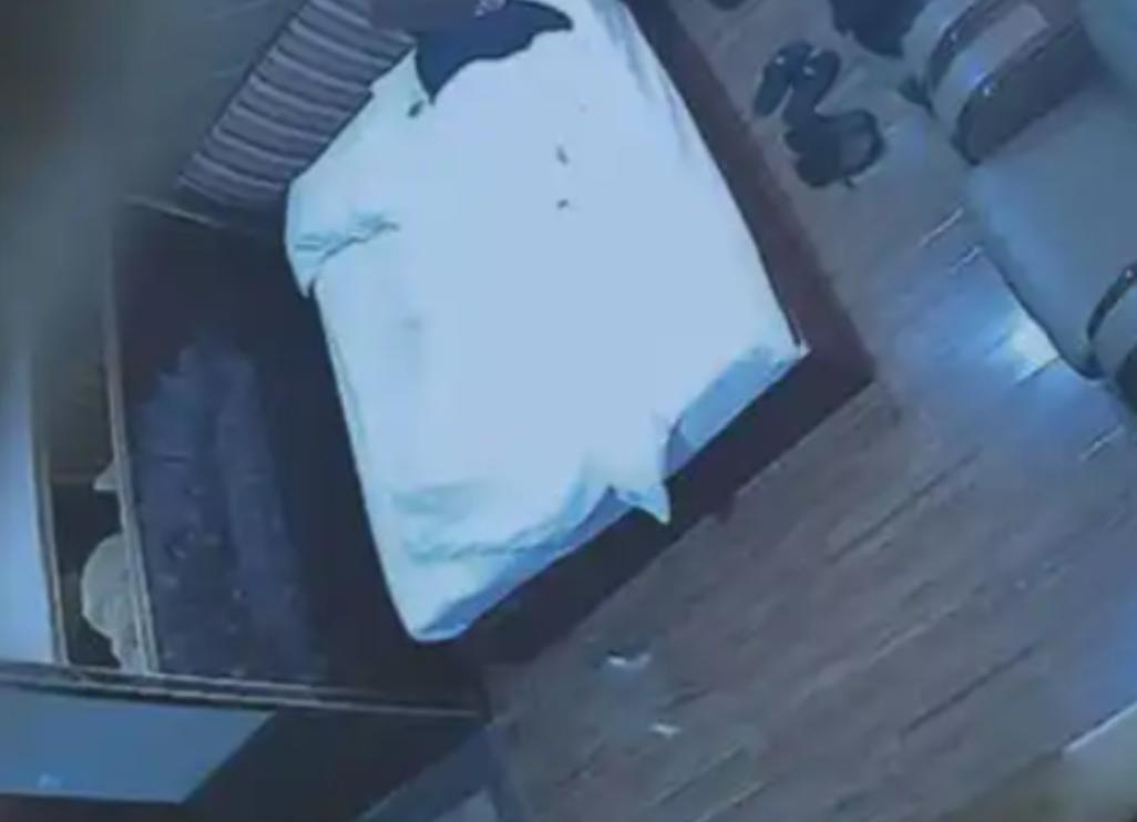 湖北松滋，男子嘴馋想吃野味，在网上买了工具，在周边的深山禁猎区，偷偷布下重重猎夹