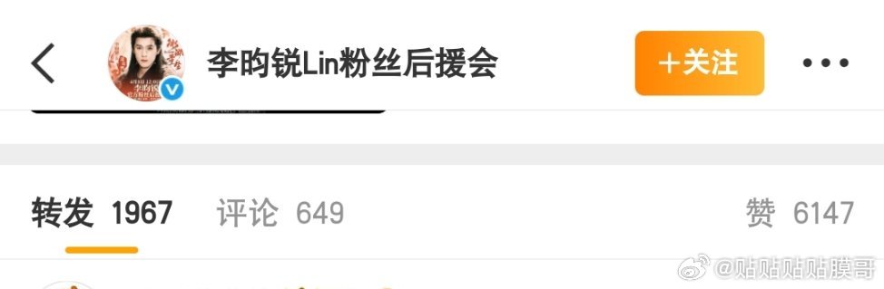 快去救救后援会 糊成个鸡毛掸子了 