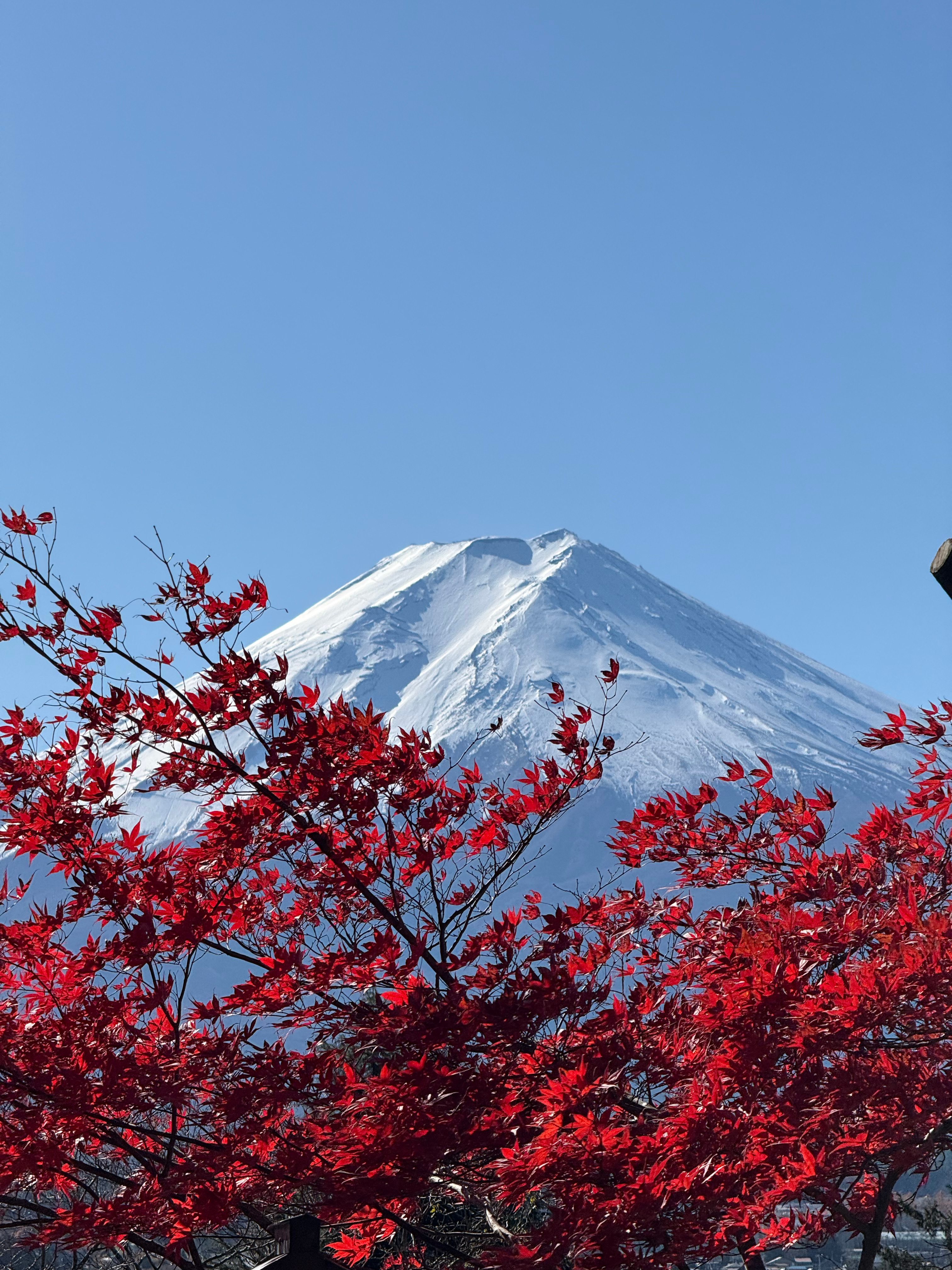 富士山下🗻 