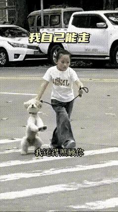 10岁小女孩过马路，一举动暖哭无数人❤️
 
被这个懂事又温柔的小妹妹狠狠圈粉了