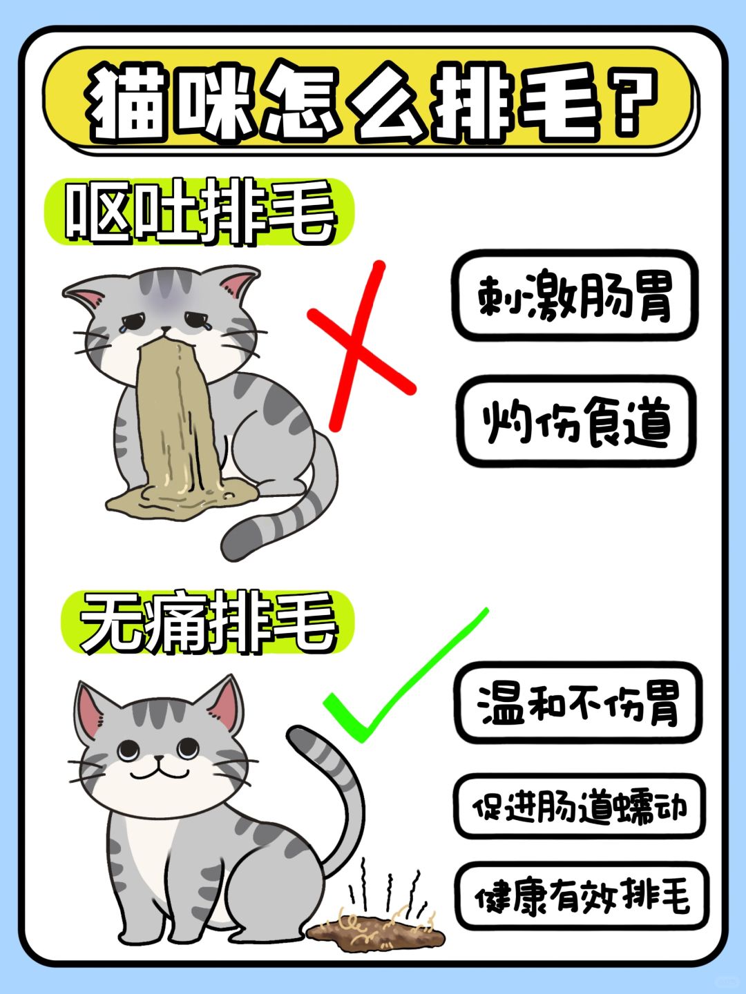 猫咪吐毛球怎么办？教你几招解决方法