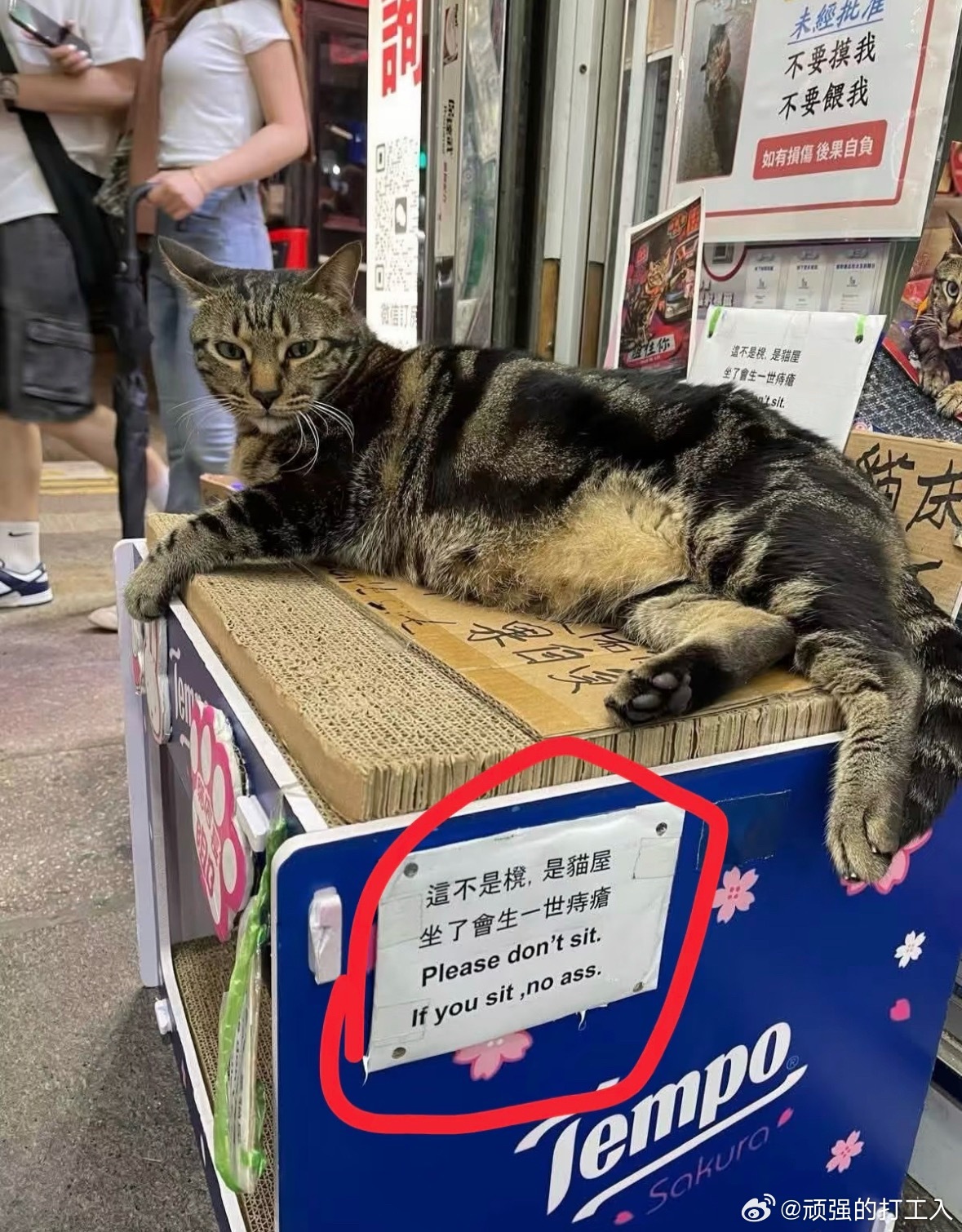 这牌子像是咪自己写的 