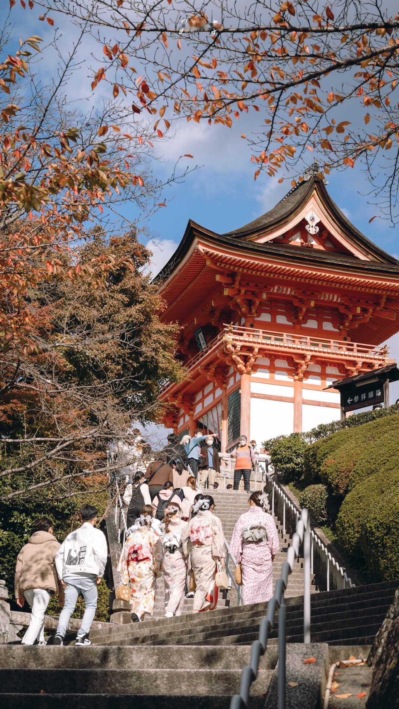 #旅行碎片 #治愈系风景 #日本 #京都 #街拍