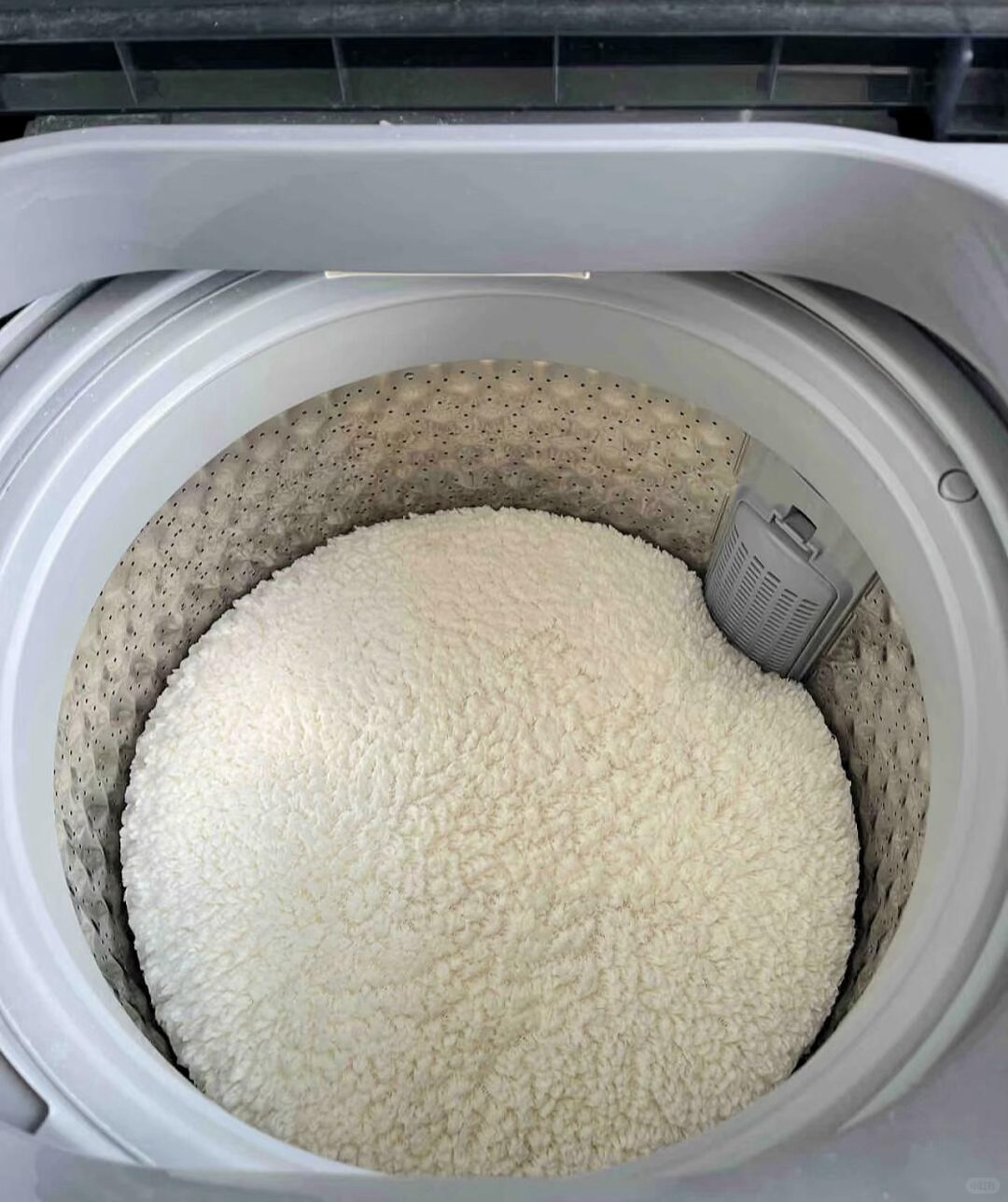 洗衣机洗出了一锅热米饭🍚每次洗被子羊毛毡毯子总会被洗衣机卷成一坨可可爱爱 ​​