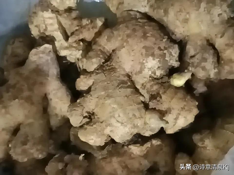 比如，
平时淋了雨浑身发紧，切3片10g左右的鲜姜煮杯温水喝，没半小时身上就能暖