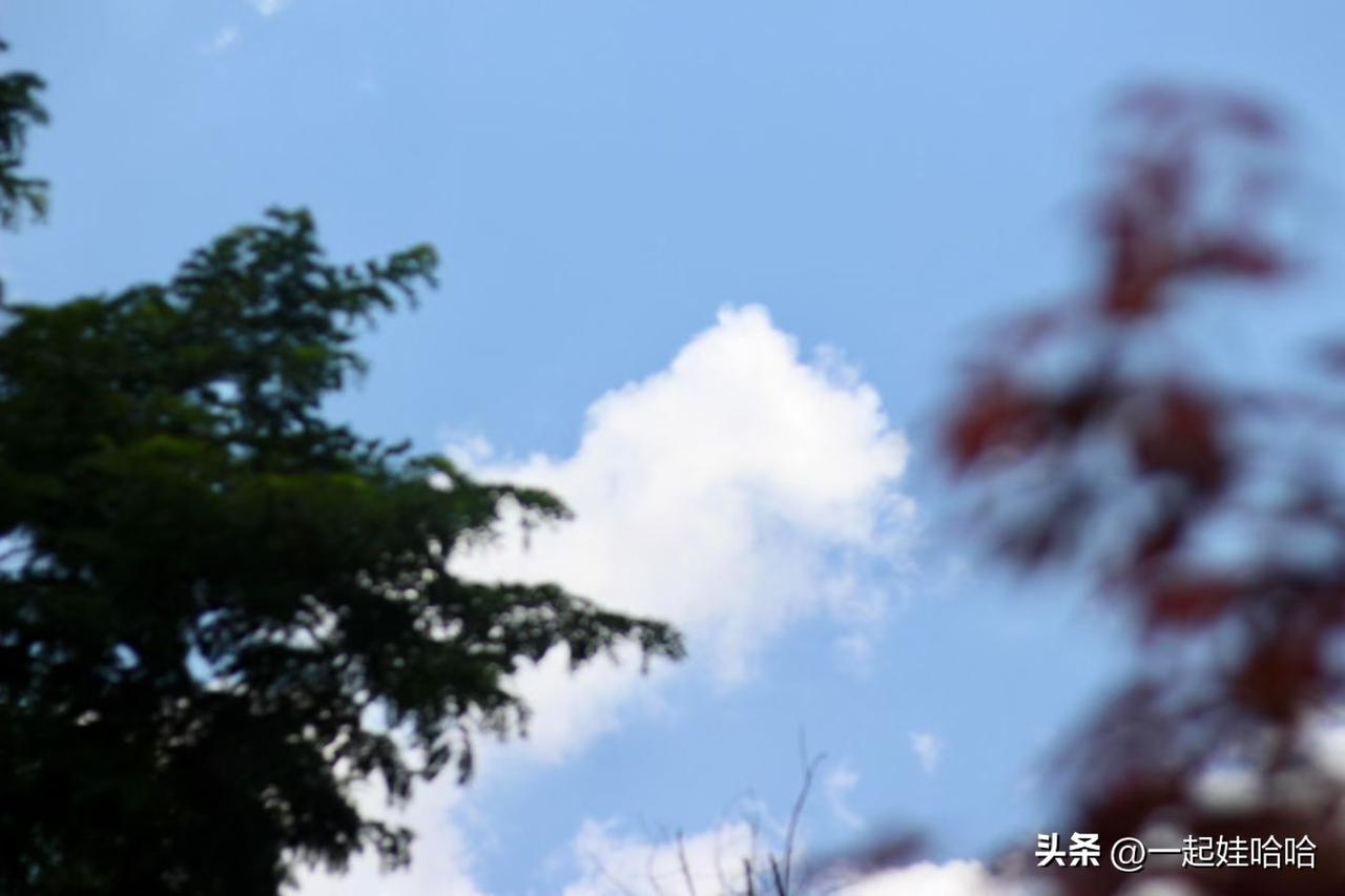 不管你卖什么,都会有人觉得贵。
奔驰、宝马很贵，可买的人越来越多；
河里的水不要