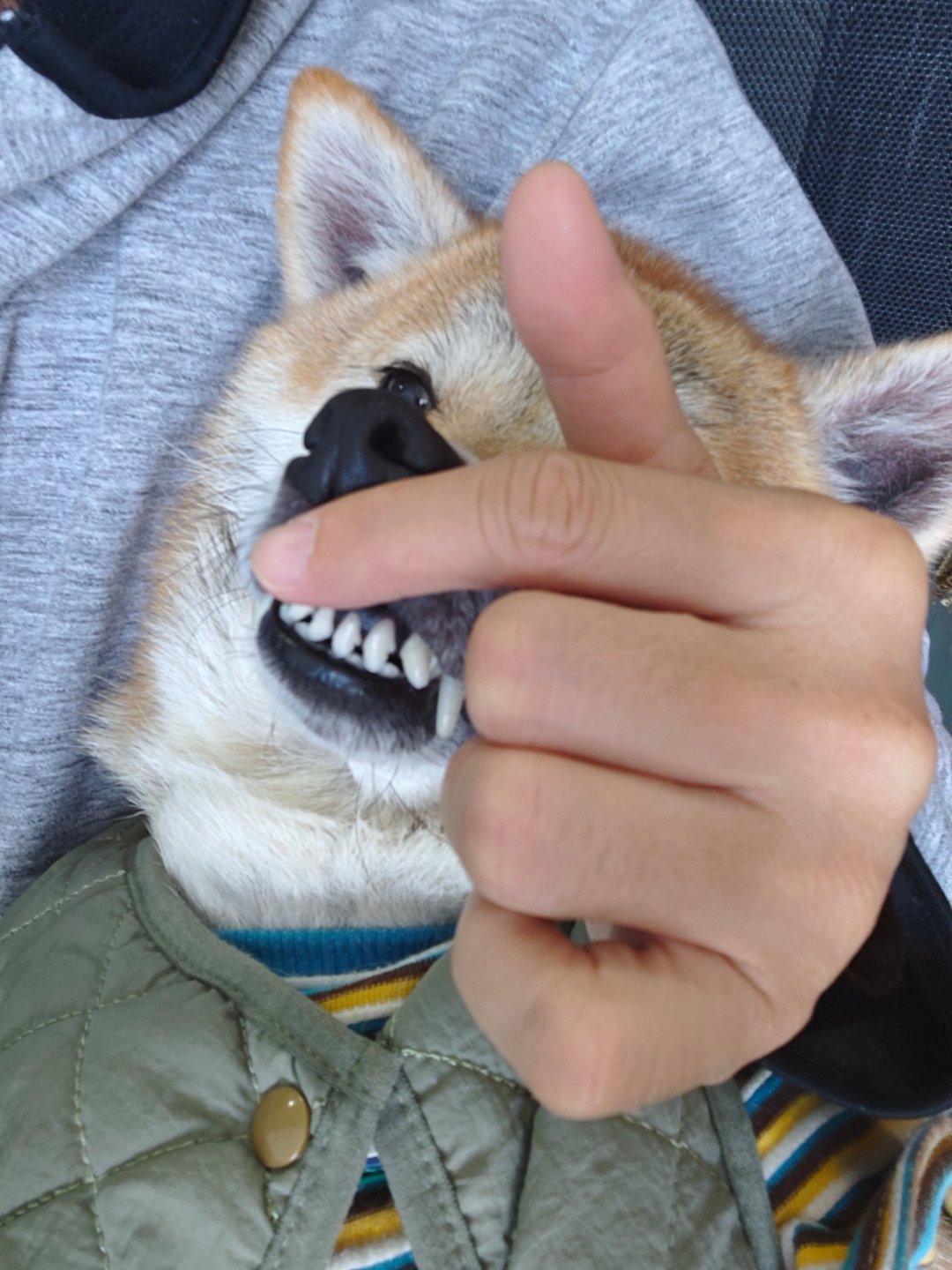 深圳南山上市公司密度全国城区第一不意外，到科技园走一圈就懂了，全都是耳熟能详。 