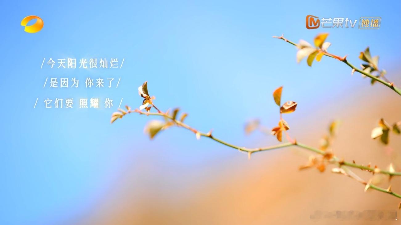 芒果拍慢综是真有点东西赵露思综艺 芒果用镜头证明慢综的厚重力量！赵露思踏碎草甸露