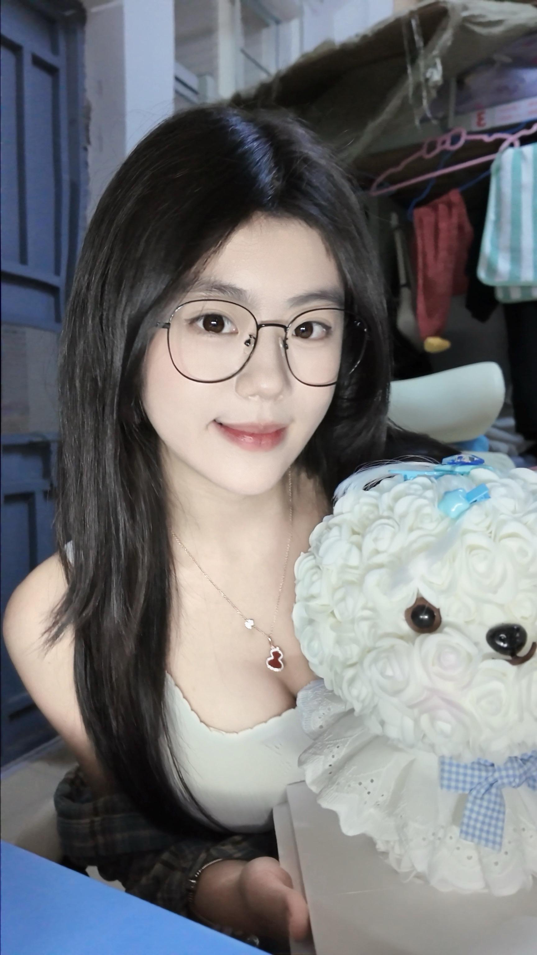 这张图里有两只小狗。