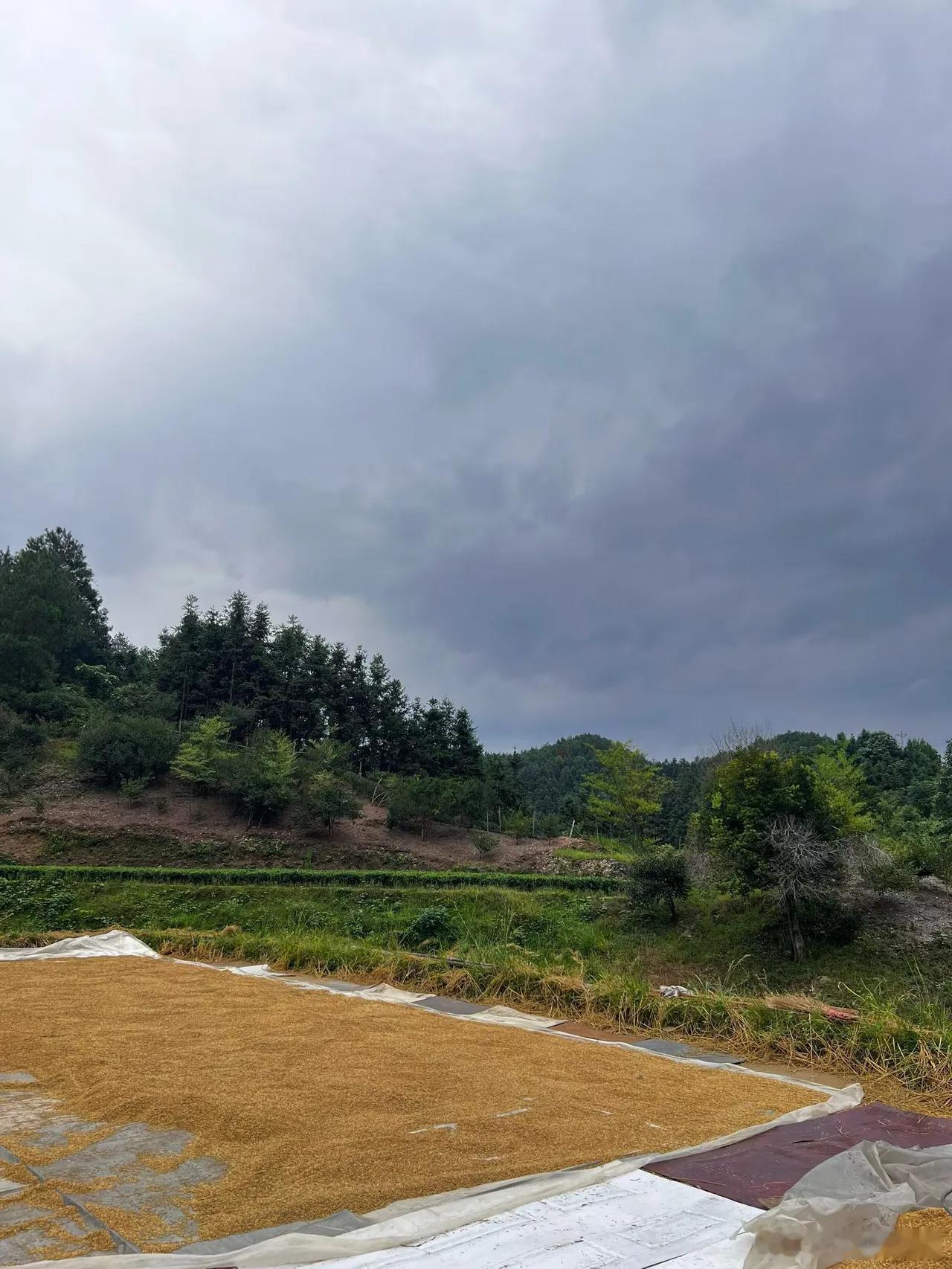 今天周五要跑了吗？紧急提醒全体股民，种种迹象表明，地量之后的A股将迎重大变局。一