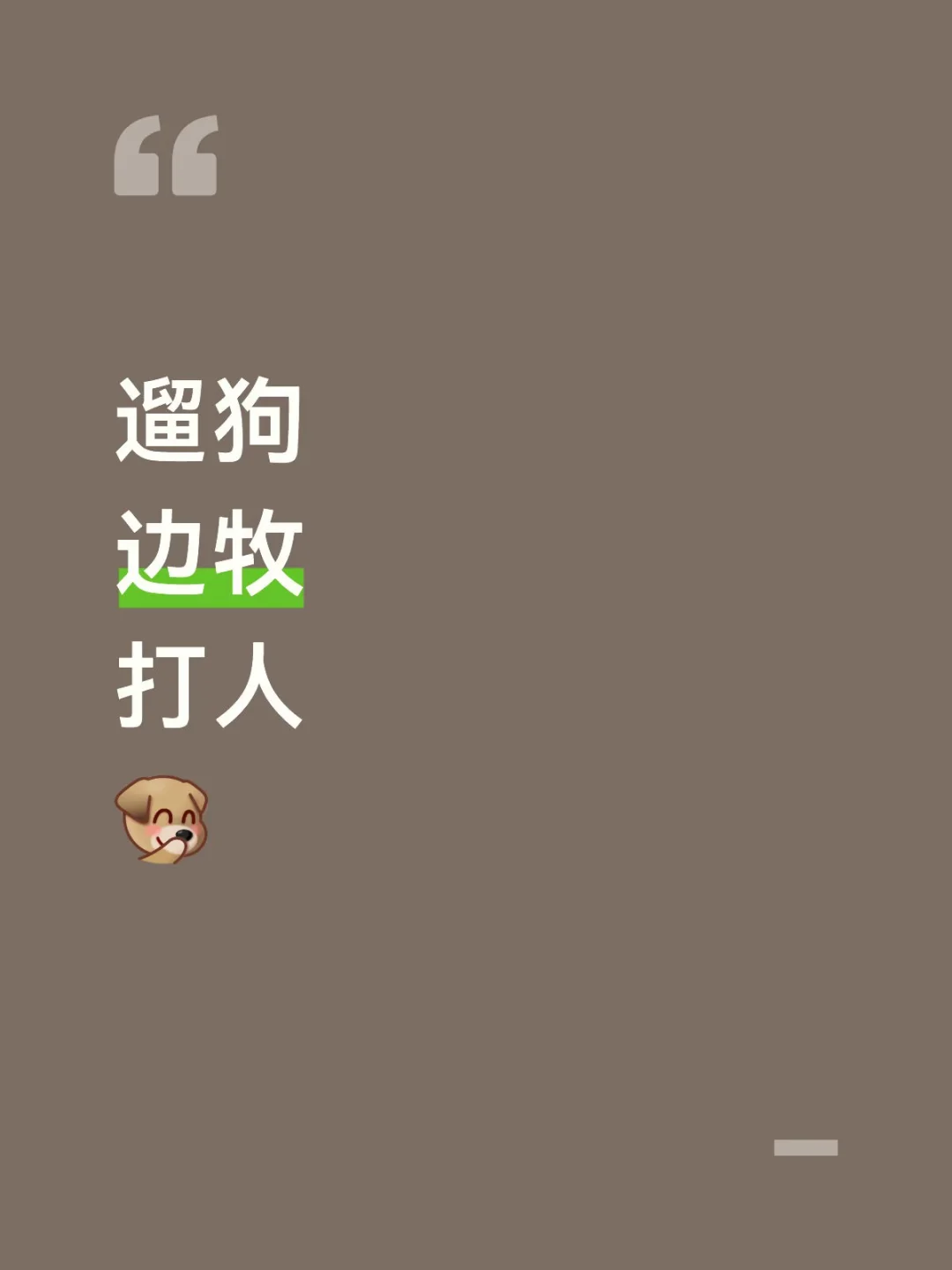 上海女子牵绳遛狗被打