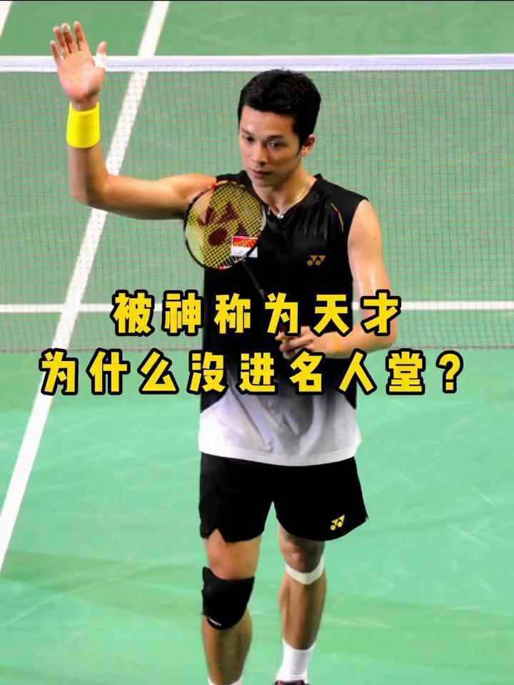 被神称为天才为什么没进名人堂？
为什么羽坛首位大满贯得主陶菲克没能进名人堂，反而