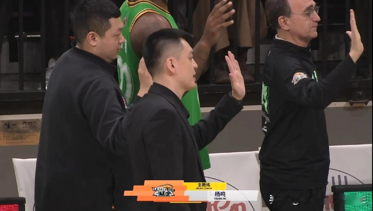 闫军配广厦，被辽宁拿下，大胜卫冕冠军后，辽宁队新赛季夺冠概率从2％提升到20％！