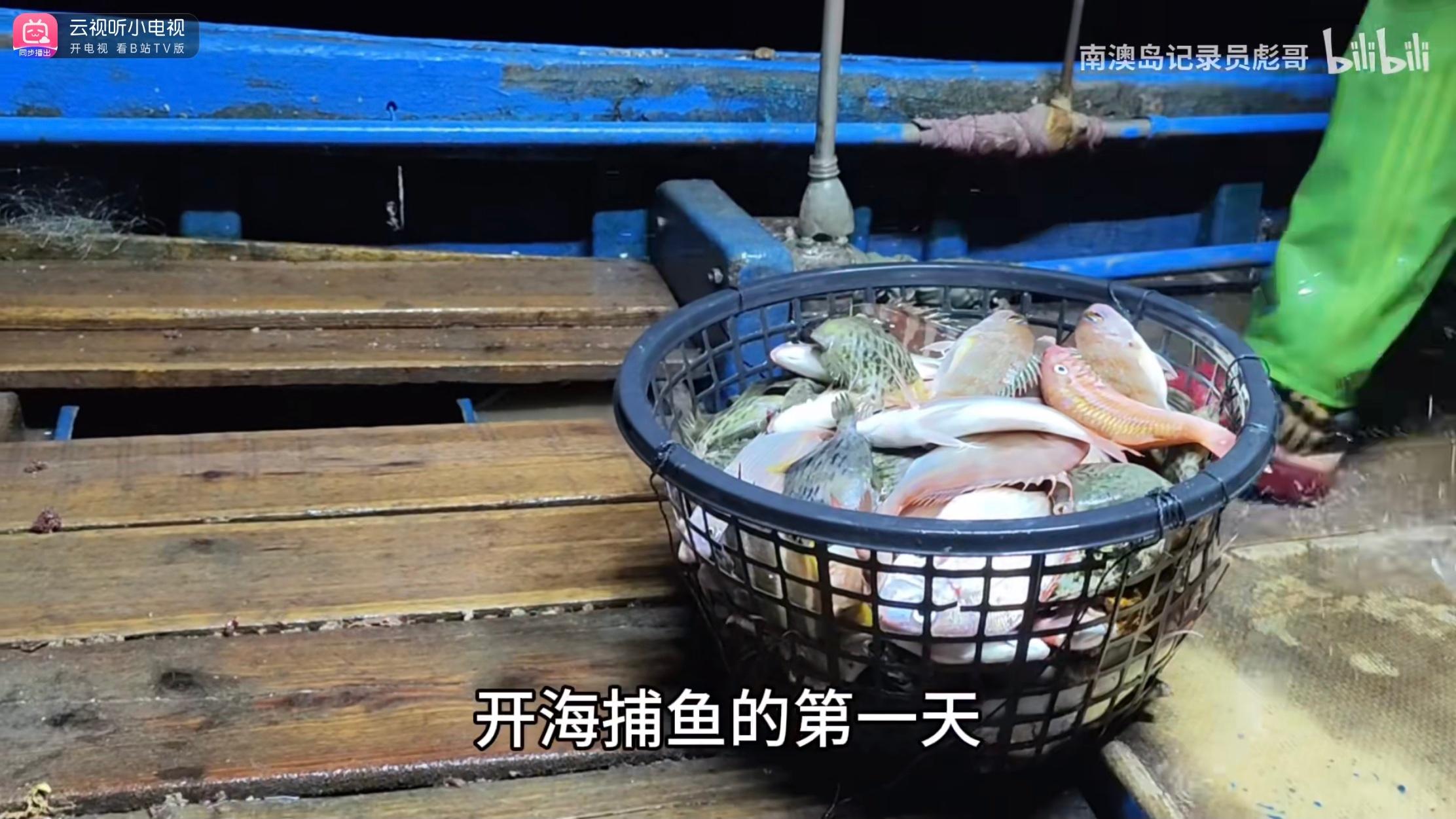 刷到个视频，一位渔民拍的开渔第一天去外海捕鱼。他们收了两片6000米长的网，共收