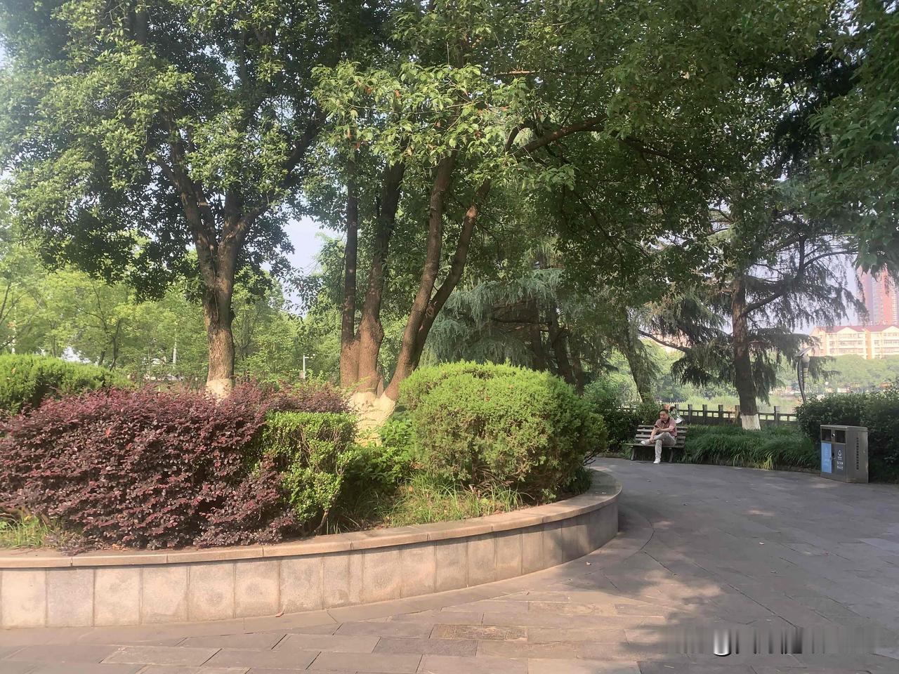 真正的写作高手，拼的都是基本功

很多人觉得写好文章靠天赋、靠文采，其实写作从无