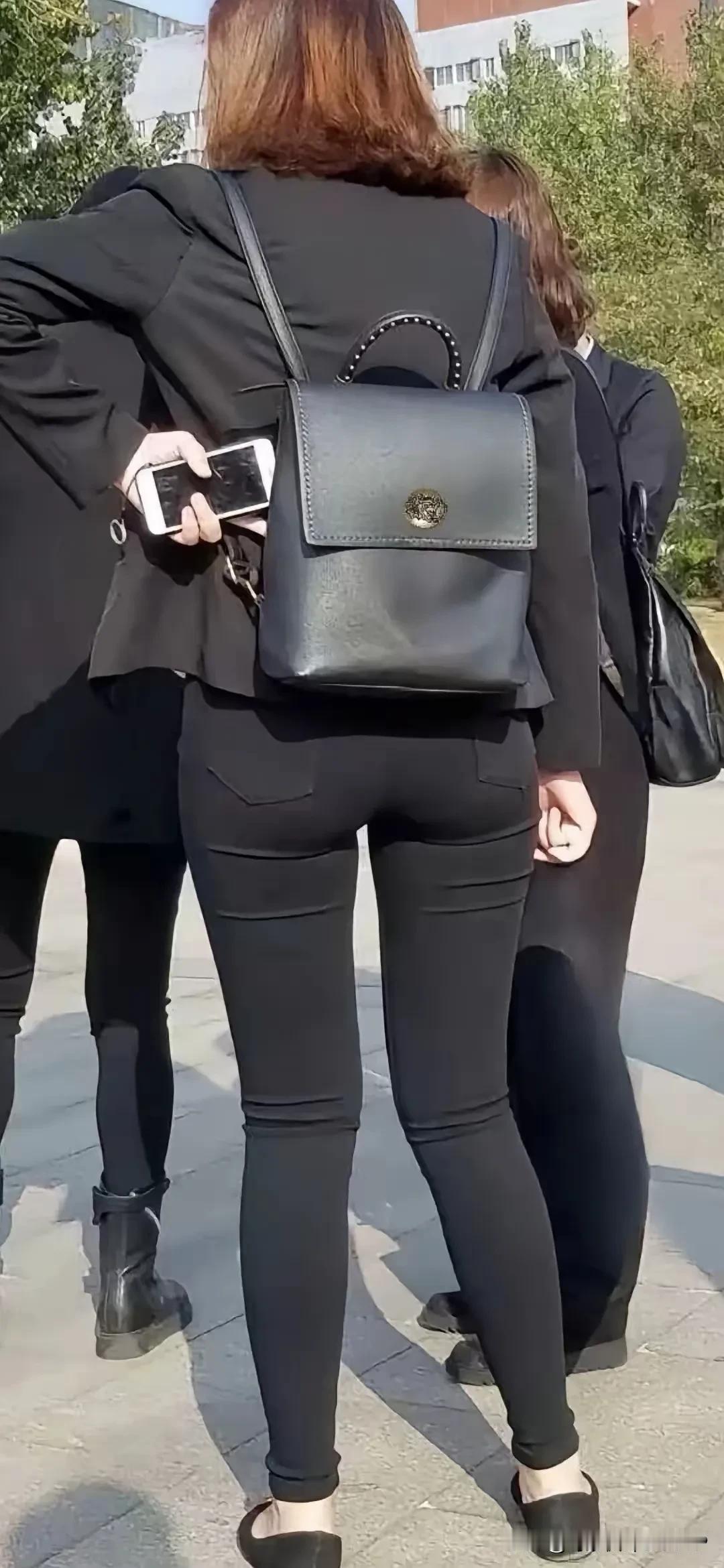 红墙高立，群英集结。