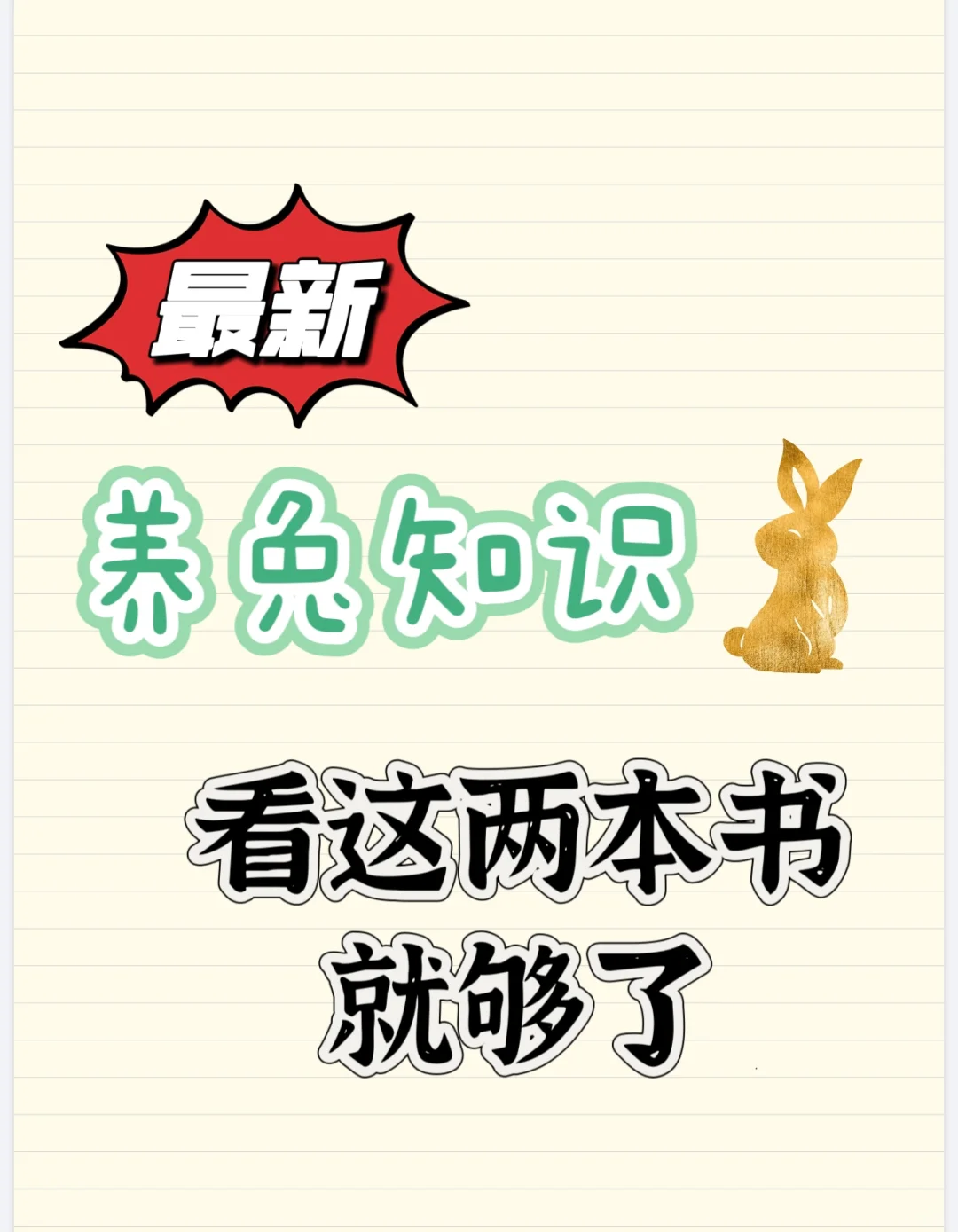 2022年后出版的兔兔书籍，够新！