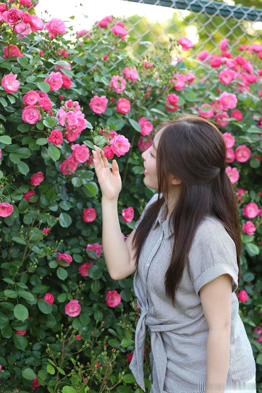 美女热门美女 鲜花与少女 