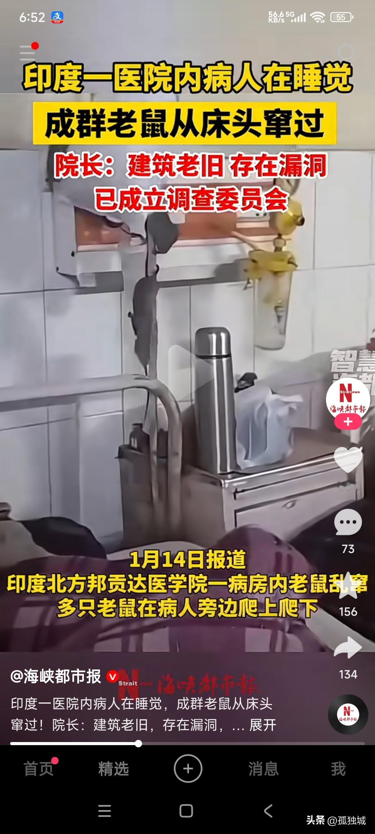 印度的老鼠也肆无忌惮不怕人吗？
医院里居然也有老鼠成群上窜下跳的，这是治病救人的