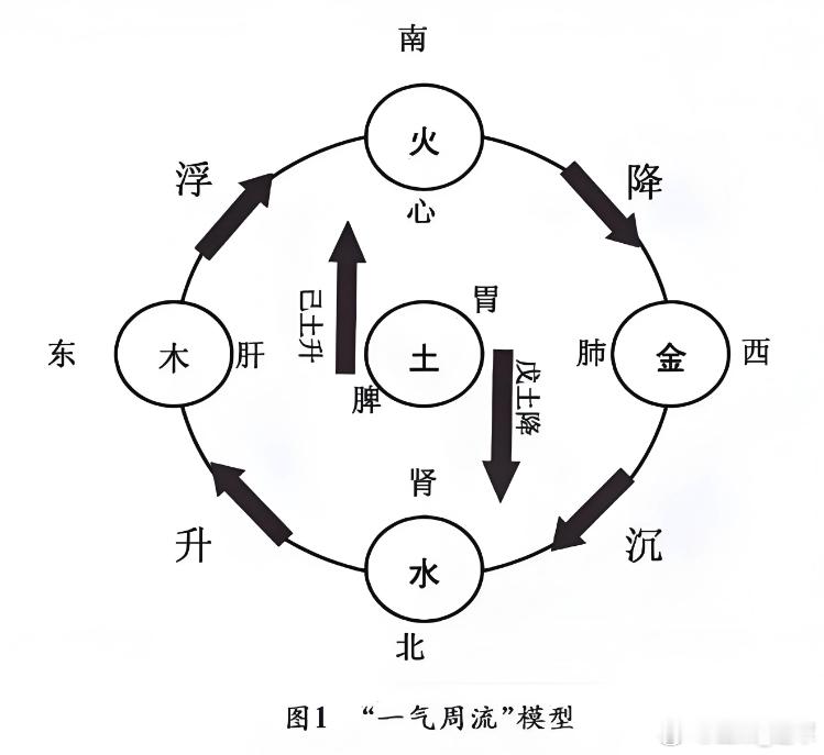 调理惟求通泰岐黄调理本无繁，一字通泰道中看。升降无阻阴阳顺，气血周流脏腑安。散浊