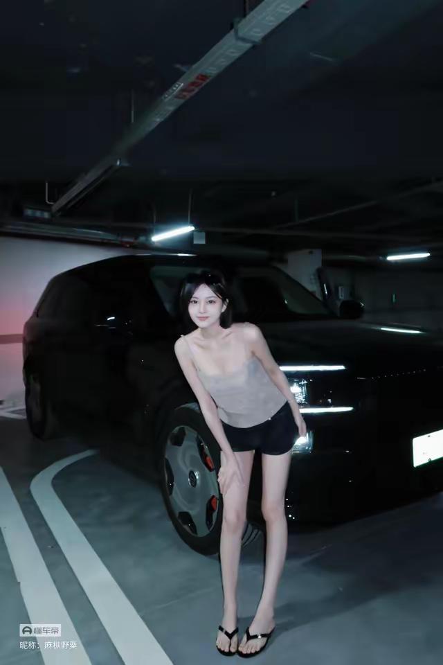 极氪9x与美女车模