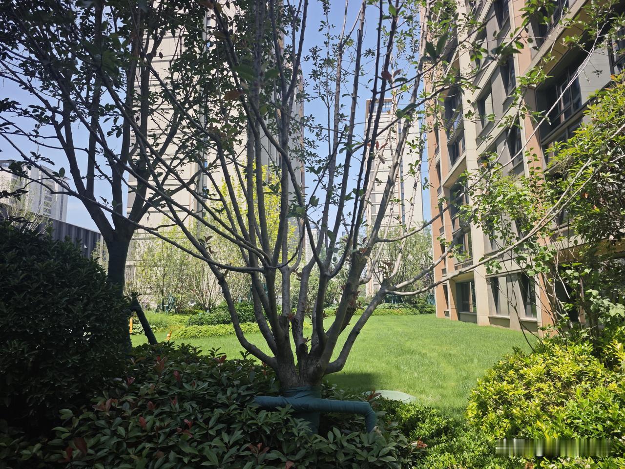 港务区奥体板块——陆港云启
